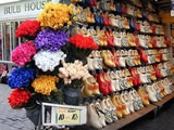 Foto mercato fiori Amsterdam